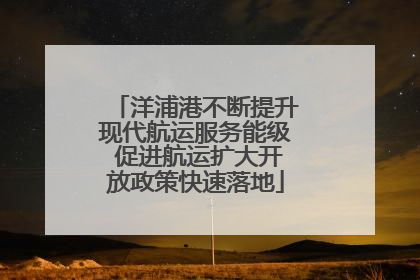 洋浦港不断提升现代航运服务能级 促进航运扩大开放政策快速落地