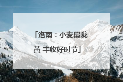 洛南：小麦覆陇黄 丰收好时节