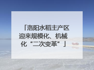 洛阳水稻主产区迎来规模化、机械化“二次变革”