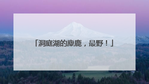 洞庭湖的麋鹿，最野！