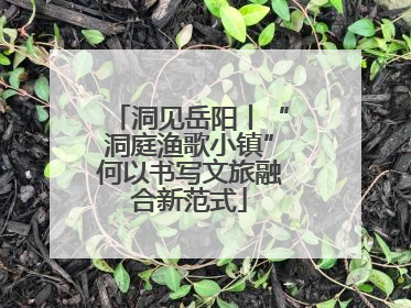 洞见岳阳丨“洞庭渔歌小镇”何以书写文旅融合新范式