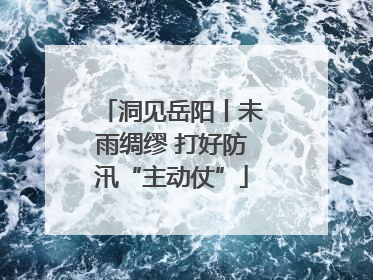 洞见岳阳丨未雨绸缪 打好防汛“主动仗”