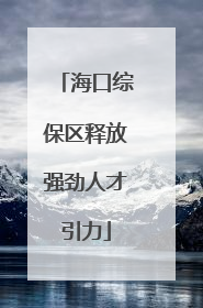 海口综保区释放强劲人才引力