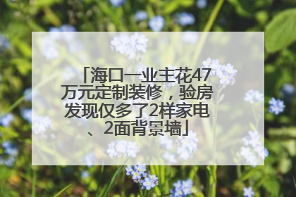 海口一业主花47万元定制装修，验房发现仅多了2样家电、2面背景墙