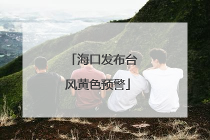 海口发布台风黄色预警