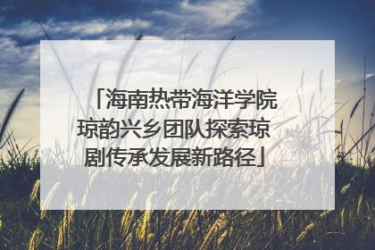 海南热带海洋学院琼韵兴乡团队探索琼剧传承发展新路径