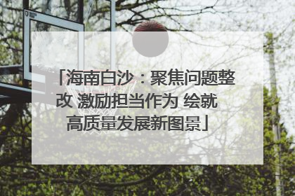海南白沙：聚焦问题整改 激励担当作为 绘就高质量发展新图景