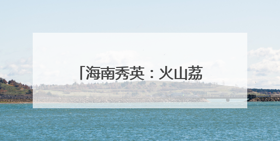 海南秀英：火山荔枝王串起乡村振兴“甜蜜产业链”