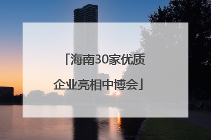 海南30家优质企业亮相中博会