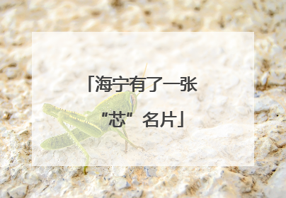 海宁有了一张“芯”名片