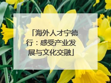 海外人才宁德行：感受产业发展与文化交融