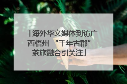 海外华文媒体到访广西梧州 “千年古郡”茶旅融合引关注