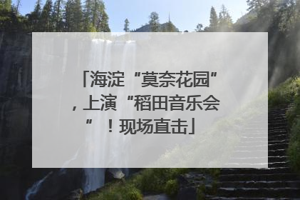 海淀“莫奈花园”，上演“稻田音乐会”！现场直击