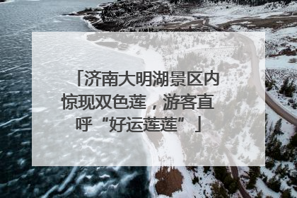 济南大明湖景区内惊现双色莲，游客直呼“好运莲莲”