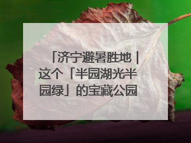 济宁避暑胜地｜这个「半园湖光半园绿」的宝藏公园藏不住了！