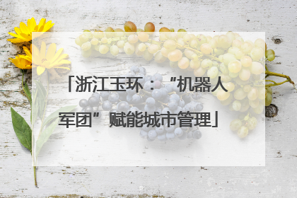 浙江玉环：“机器人军团”赋能城市管理
