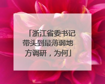 浙江省委书记带头到最薄弱地方调研，为何