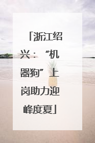 浙江绍兴：“机器狗”上岗助力迎峰度夏