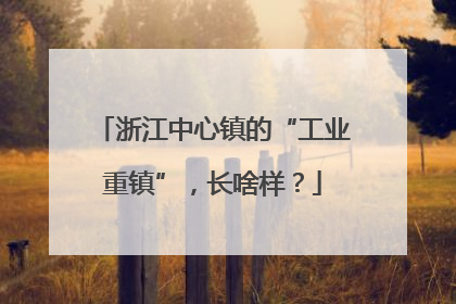 浙江中心镇的“工业重镇”，长啥样？