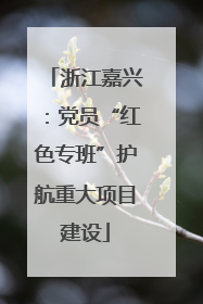 浙江嘉兴：党员“红色专班”护航重大项目建设