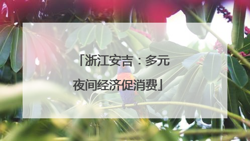 浙江安吉：多元夜间经济促消费