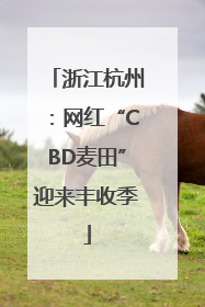 浙江杭州：网红“CBD麦田”迎来丰收季