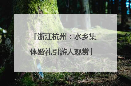 浙江杭州：水乡集体婚礼引游人观赏