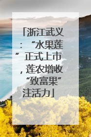 浙江武义：“水果莲”正式上市，莲农增收“致富果”注活力