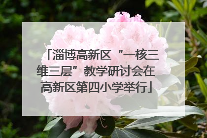 淄博高新区“一核三维三层”教学研讨会在高新区第四小学举行