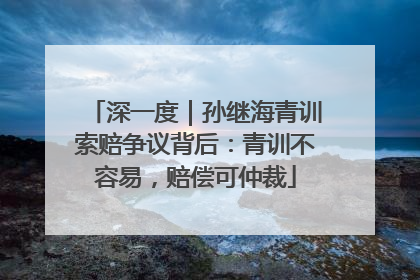 深一度｜孙继海青训索赔争议背后：青训不容易，赔偿可仲裁