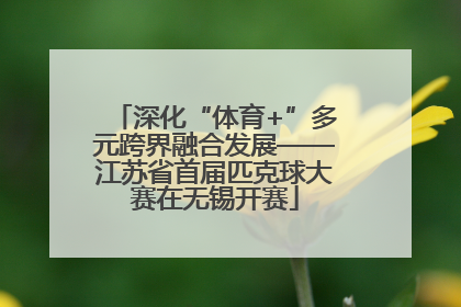 深化“体育+”多元跨界融合发展——江苏省首届匹克球大赛在无锡开赛