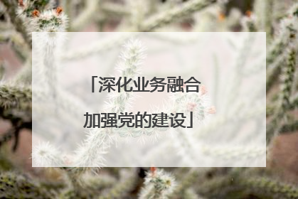 深化业务融合 加强党的建设