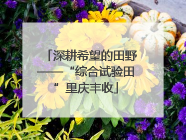 深耕希望的田野——“综合试验田”里庆丰收