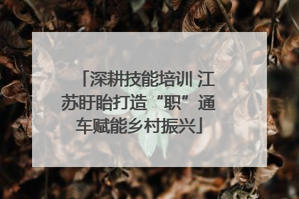 深耕技能培训 江苏盱眙打造“职”通车赋能乡村振兴