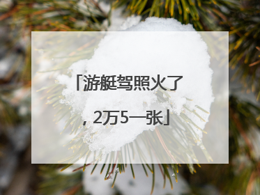 游艇驾照火了，2万5一张
