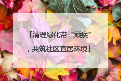 清理绿化带“顽疾”，共筑社区宜居环境