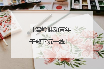 温岭推动青年干部下沉一线