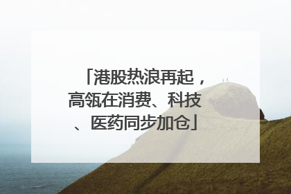 港股热浪再起，高瓴在消费、科技、医药同步加仓