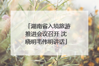湖南省入境旅游推进会议召开 沈晓明毛伟明讲话