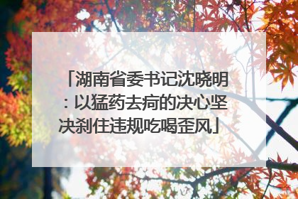 湖南省委书记沈晓明：以猛药去疴的决心坚决刹住违规吃喝歪风