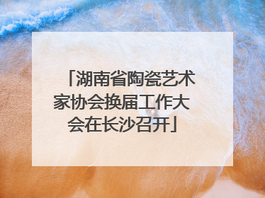 湖南省陶瓷艺术家协会换届工作大会在长沙召开