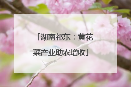 湖南祁东：黄花菜产业助农增收