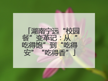 湖南宁远“校园餐”变革记：从“吃得饱”到“吃得安”“吃得香”