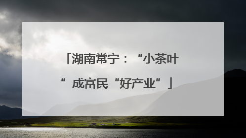 湖南常宁：“小茶叶”成富民“好产业”