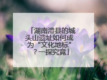 湖南澧县的城头山遗址如何成为“文化地标”？一探究竟