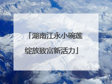 湖南江永小碗莲绽放致富新活力