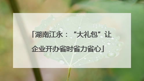 湖南江永：“大礼包”让企业开办省时省力省心