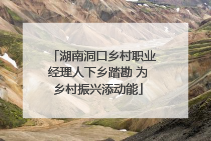 湖南洞口乡村职业经理人下乡踏勘 为乡村振兴添动能