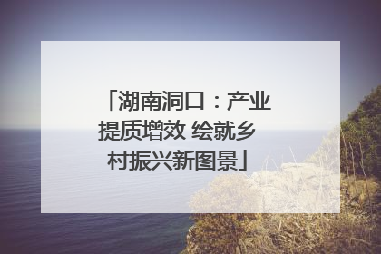 湖南洞口：产业提质增效 绘就乡村振兴新图景