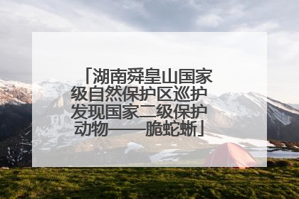 湖南舜皇山国家级自然保护区巡护发现国家二级保护动物——脆蛇蜥